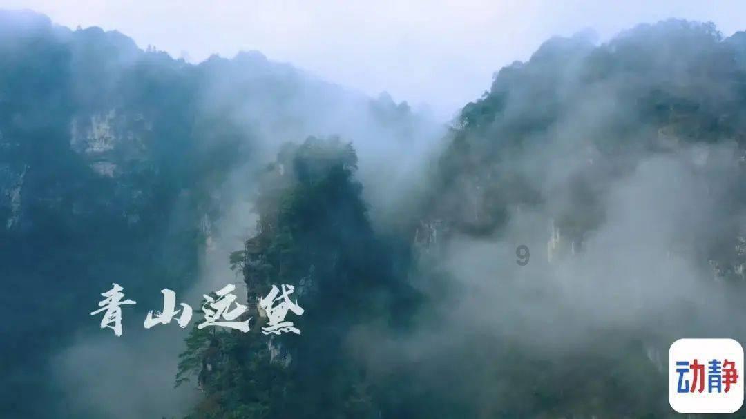 37岁江疏影酒店晒健身照，素颜显雀斑，锁骨精致一览无遗