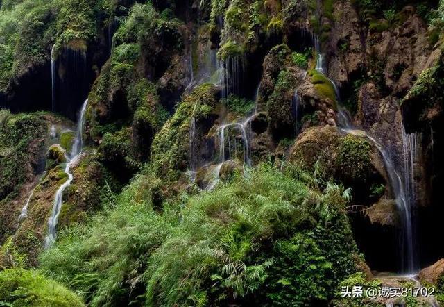 保护僵尸火种